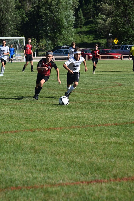 不仅提高了 不仅提高了