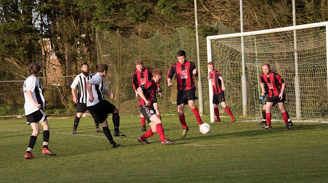 到现有球队 到现有球队