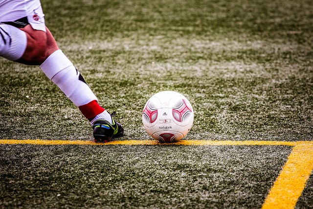 这次锦标赛 这次锦标赛