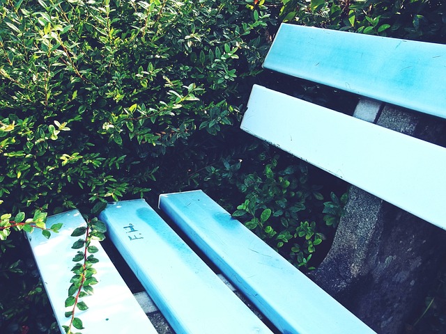 现再次证明 现再次证明