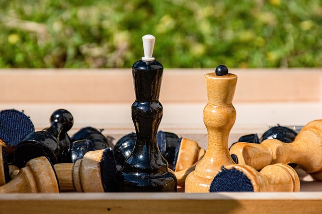 的快速发展 的快速发展