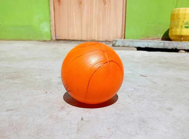 能的舞台 能的舞台