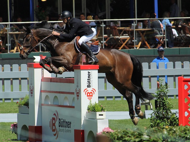 成绩突出者 成绩突出者